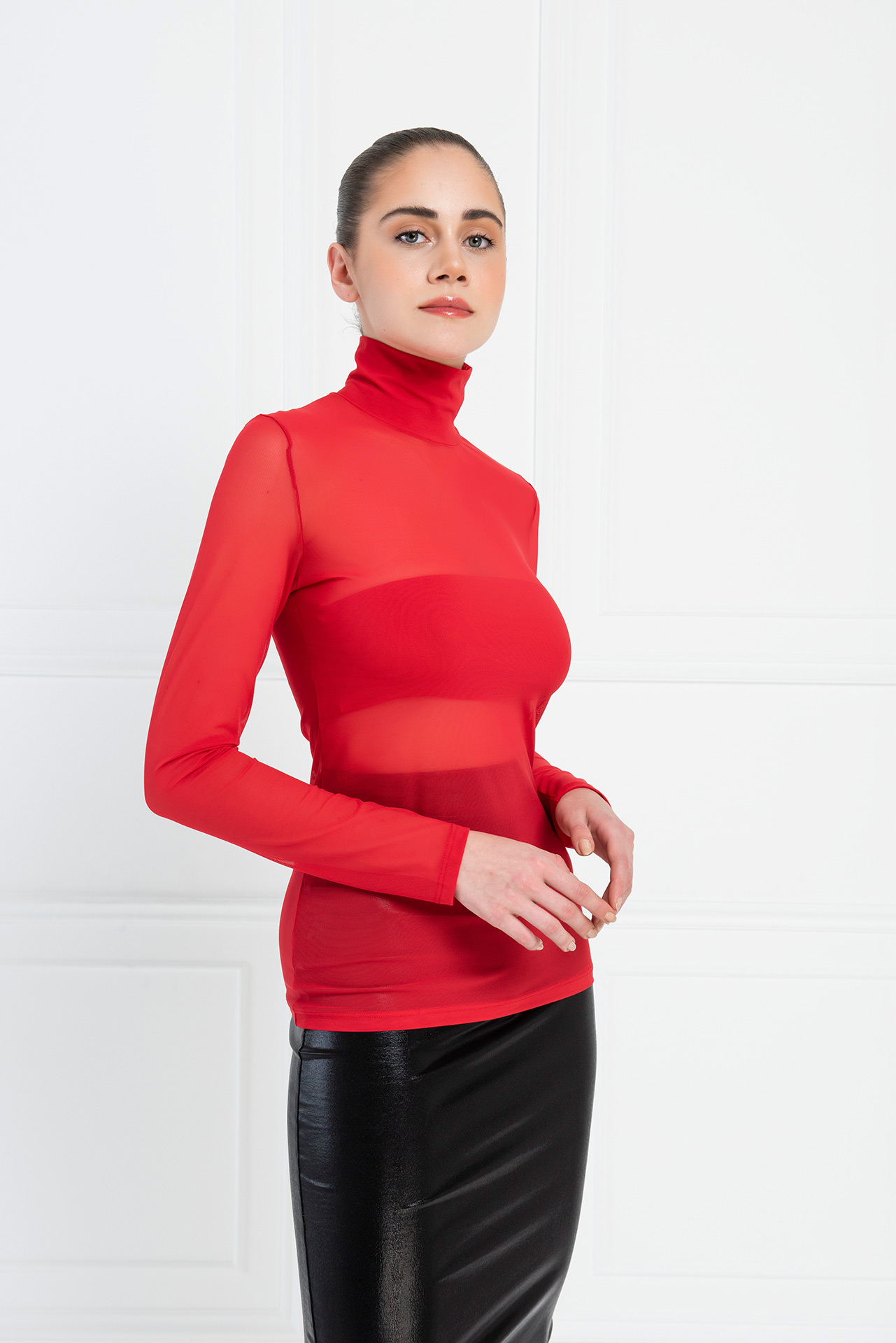 sheer mesh turtleneck